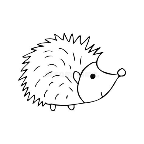 Hedgehog Illustration Black And White