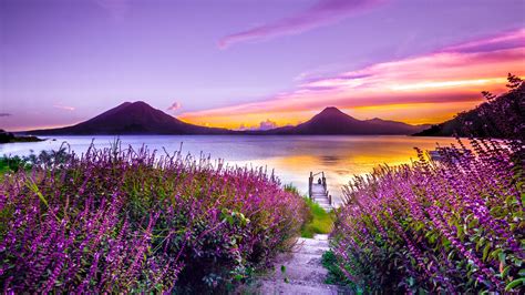 Volcano Sunset Flower Purple Dreamy Landscape 4k 5k Sunset Wallpapers