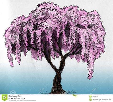Sakura Tree Drawings Blossom Cherry Drawing Draw Sakura Handshears