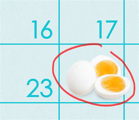 How Long Do Boiled Eggs Last Latest Guide To Do It