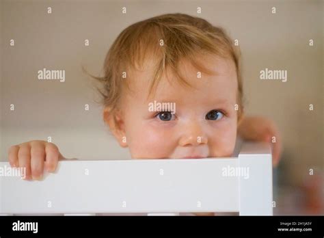 Portrait Of An English Baby Model Released Stock Photo Alamy