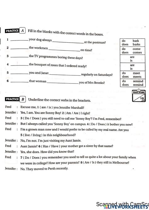 subject verb agreement  worksheet