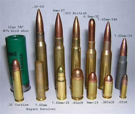 Ammo And Gun Collector Some Of The Most Common Ammunition Compared In Size