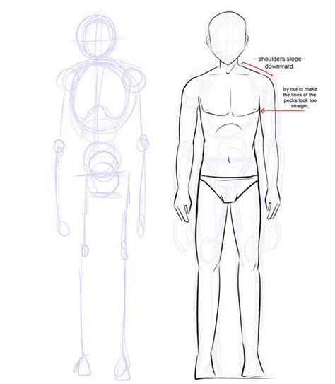 Male Drawing Anime Body Step By Step