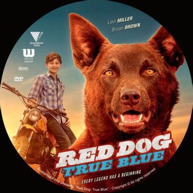 Though there are some slow moments, director kriv stenders doesn't mind as he builds the relationships thoughtfully, and gives his hero a chance to react to events and people that will impact the rest of his life. CoverCity - DVD Covers & Labels - Red Dog: True Blue