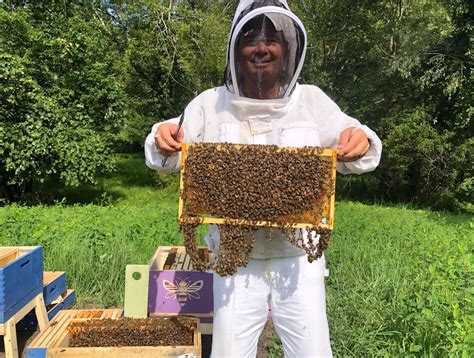 How You Can Protect Honey Beesor Be A Backyard Beekeeper Greenwich