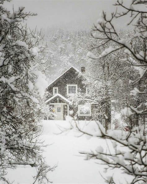 Pinterest ☓ Cmbenney Winter Scenery Winter Landscape Winter Scenes
