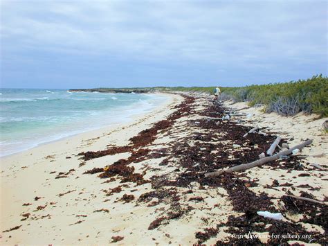 Destination Salt Cay Your Island Home