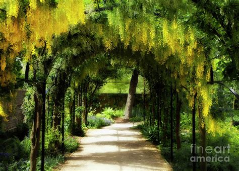 The Arbor Photograph By Mike Nellums Fine Art America
