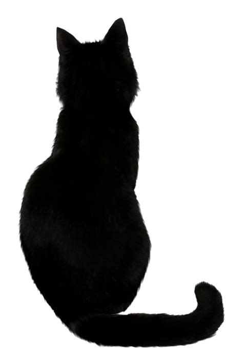 Black Cat Illustration Cat Outline Tatoo You Black Cat Silhouette