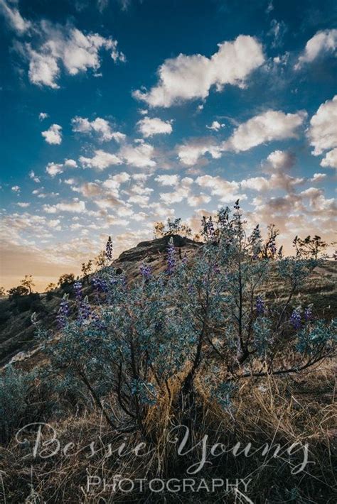 Pincushion Peak California Sunset Photograph — Bessie Young Photography