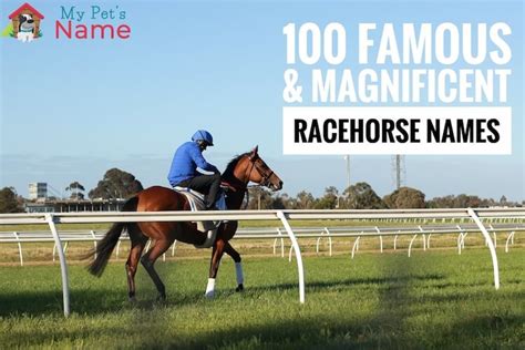 Racehorse Names 100 Famous And Magnificent Thoroughbred