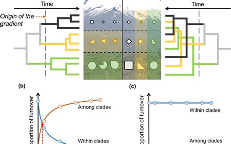 New Paper In New Phytologist Evolutionary Assembly Of Tropical