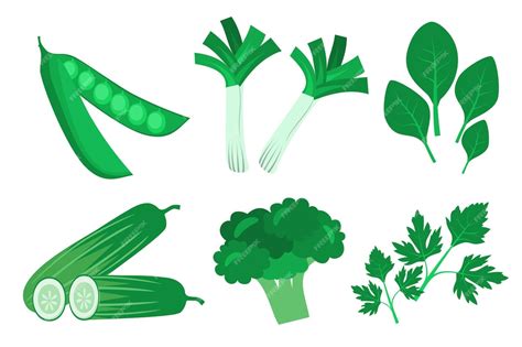 Free Vector Set Of Different Green Vegetables Drawing On White Background