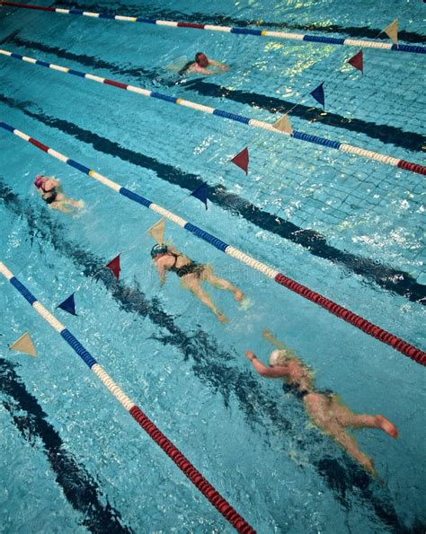 Pool Swimmers Stock Image Image Of Lanes Exercise Reflection