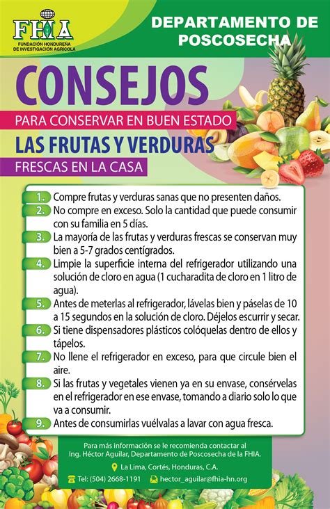 Afiche Consejos Para Conservar Frutas Y Verduras Frescas En Casa Fhia