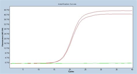 Human Beta 2 Microglobulin Qpcr Primer Pair Hp100002 Sino Biological