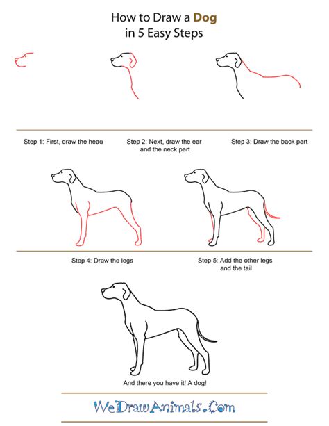 How To Draw A Realistic Dog Step By Step Easy How To Draw A Dog Step