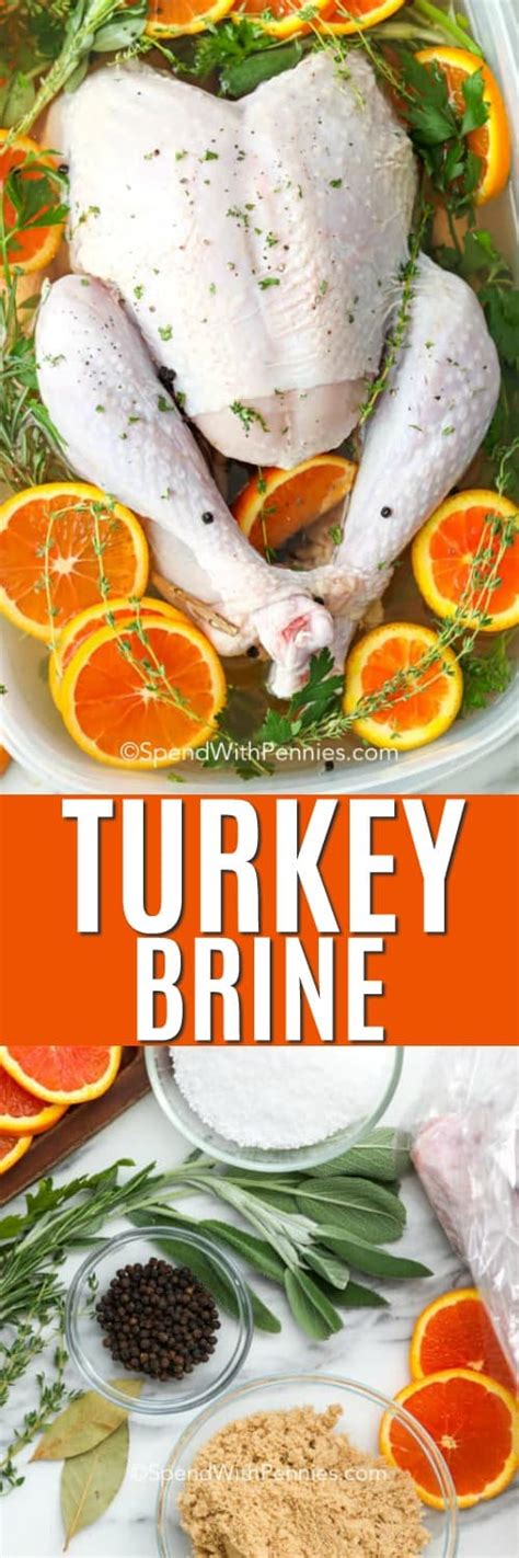 33 Best Turkey Brine Orange PNG Backpacker News