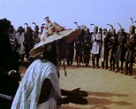 Wodaabe - Die Hirten der Sonne. Nomaden am Südrand der Sahara (1989 ...
