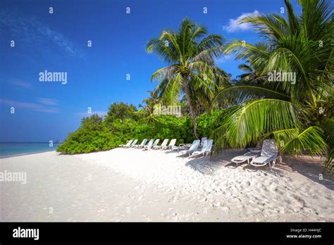 Tropical Maldives Island With Sandy Beach Palm Trees Overwater
