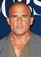Dominic Purcell Picture 7 - The CBS, The CW, and Showtime 2015 Summer ...