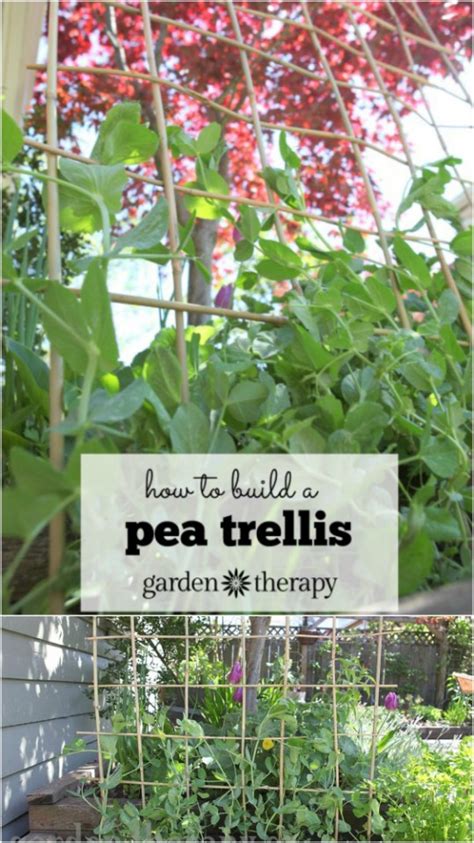 Bamboo is one of those materials that can be used for making different things from large scale architecture to small computer cases. 20 Easy DIY Trellis Ideas To Add Charm and Functionality ...