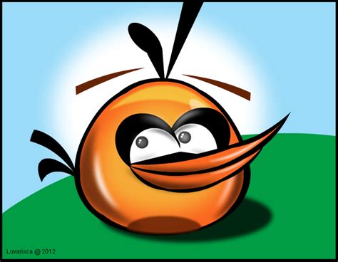 Angry Bird Orange