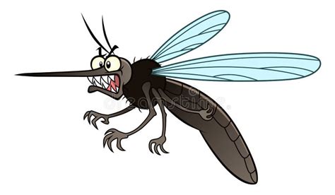 Angry Mosquito Stock Vector Illustration Of Gnat Mosquito 66834460