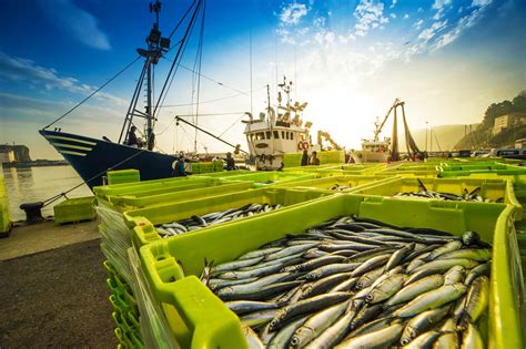 Managing Fish Stocks Shared By Nations Must Focus On The Impacts Of