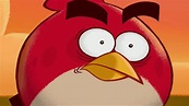 Angry Birds Update Gameplay Trailer Red's Mighty Feathers 【HD】 - YouTube
