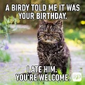 40 of the Funniest Happy Birthday Memes | Reader's Digest