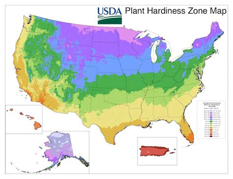 Usda Plant Hardiness Zone Map