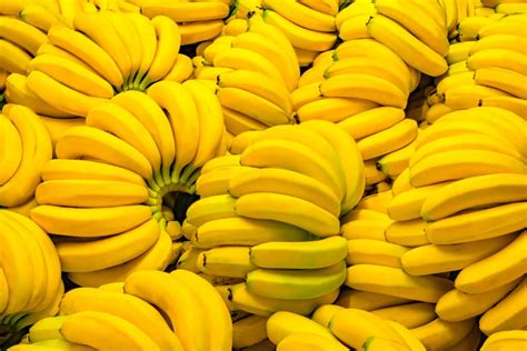 Perché Le Banane Non Hanno I Semi Focusit
