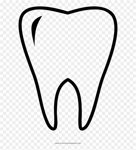 Clipart Molar 10 Free Cliparts Download Images On Clipground 2024