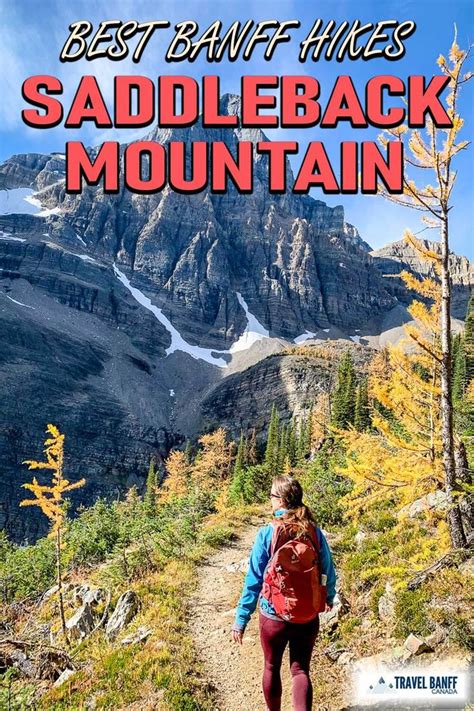 Saddleback Mountain Hike In Banff National Park Travel Banff Canada