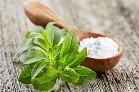 Stevia Benefits Side Effects Uses And More