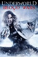 Underworld: Blood Wars now available On Demand!
