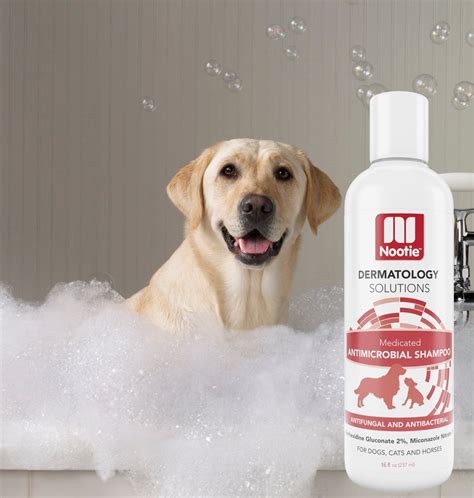 Medicated Dog Shampoo Antifungal Antibacterial Dog Shampoo Lather