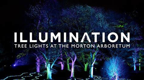 Illumination Tree Lights At The Morton Arboretum Youtube