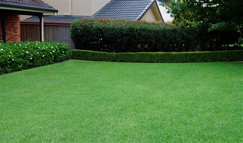 Mow your yard in time for spring. Gerrys-Lawn-at-home