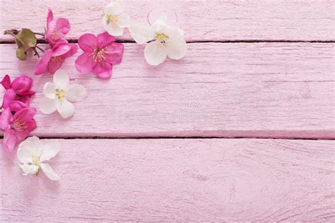 Spring Flowers On Wooden Background Stock Photo Image Of Border