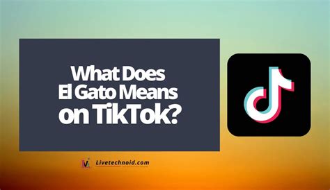 What Does El Gato Means On Tiktok