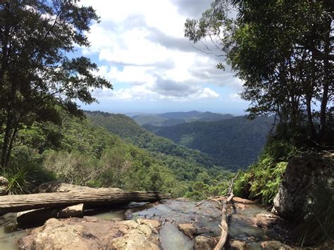 Best Trails In Springbrook National Park Queensland Australia