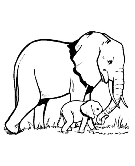 Free elephant coloring pages printable. Baby elephant coloring pages to download and print for free