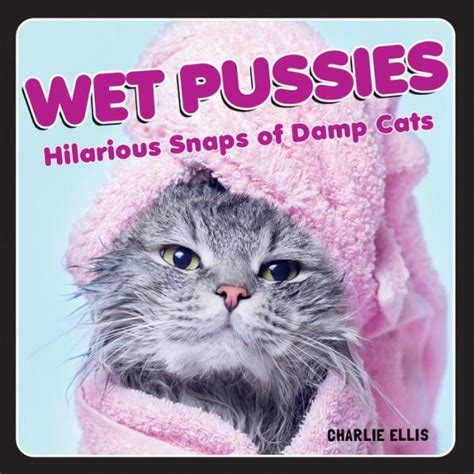 Wet Pussy Hilarious Snaps Of Damp Cats Wacko Los Angeles