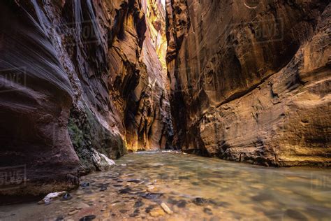 Wall Street Section In The Narrows Zion National Park Utah America