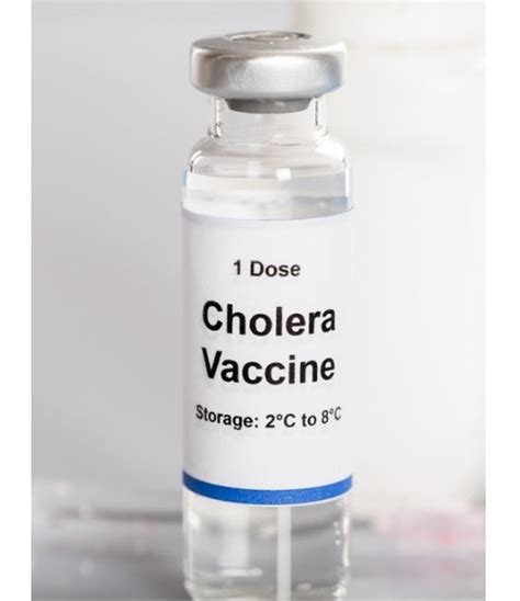 who prequalified cholera vaccine packaging type vial 1 5 ml at rs 200 vial in greater noida