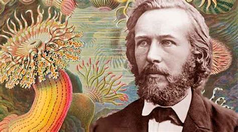 Ernst Haeckel O 1º A Traçar Uma árvore Evolutiva Zoologia Biólogo