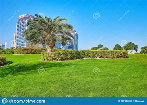 Topiary Zabeel Park In Dubai Uae Stock Image Image Of Cityscape